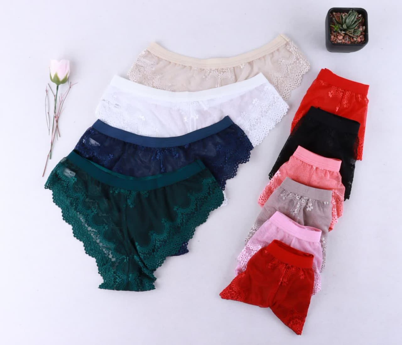 شورت جنیفری تمام دانتل