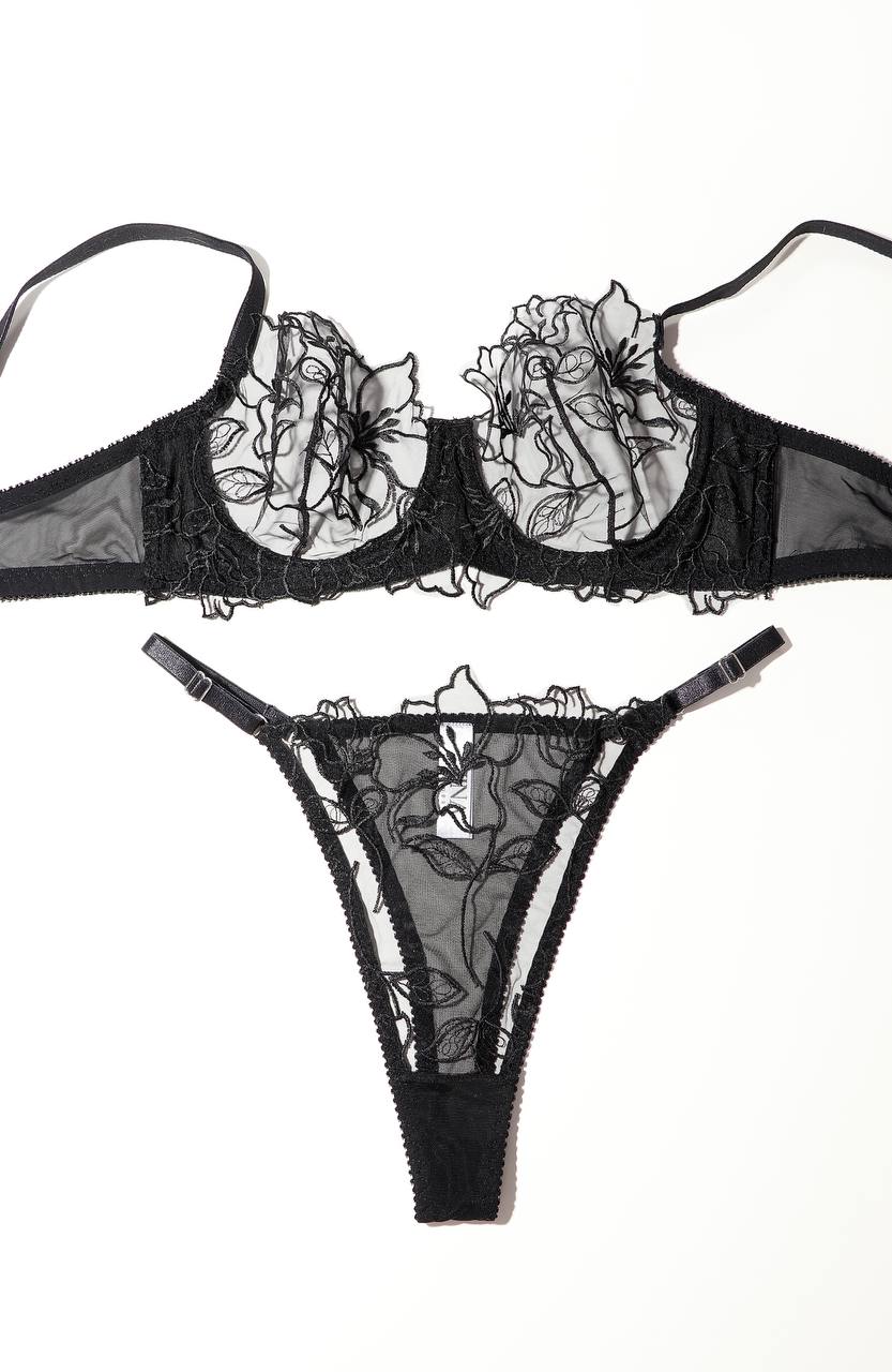 ست دانتل اروپایی ژینا ست دانتل اروپایی ژینا